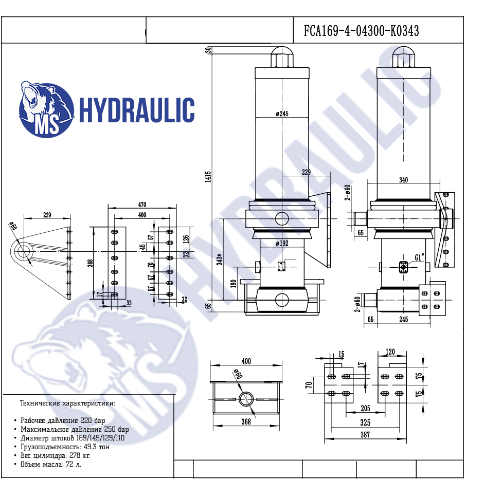 FCA169-4-04300-K0343